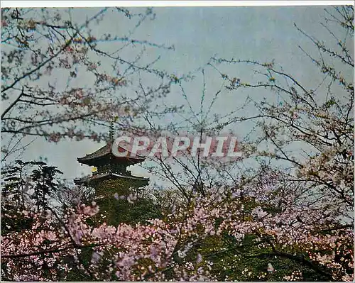Cartes postales moderne Yokohama City Sankei on Park is a Private Garden
