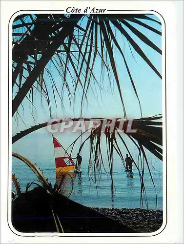 Cartes postales moderne Au Soleil de la Cote d'Azur
