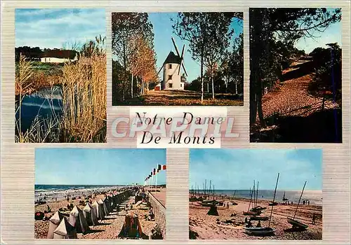 Cartes postales moderne Notre Dame de Monts (Vendee) une Bourrinne Vieux Moulin