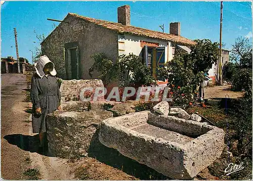 Cartes postales moderne la Cote Atlantique la Grand Mere au Puits