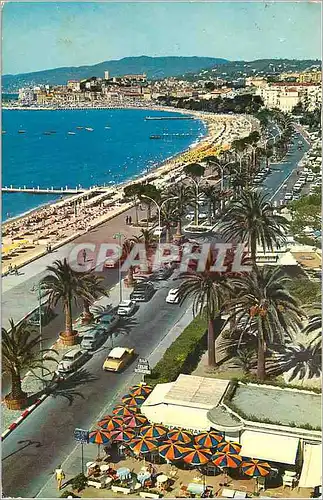 Cartes postales moderne Cannes la Cote d'Azur