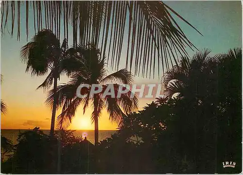 Cartes postales moderne Coucher du Soleil Afrique en Couleurs