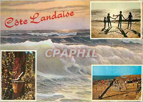 Cartes postales moderne Cote Landaise l'Heure du Bain Notre Belle Plage le Celebre Pot de Resine