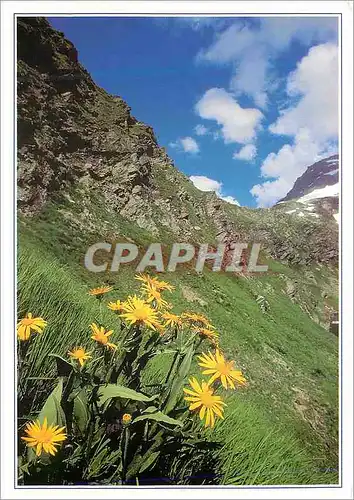 Cartes postales moderne Clin d'Oeil sur la Montagne