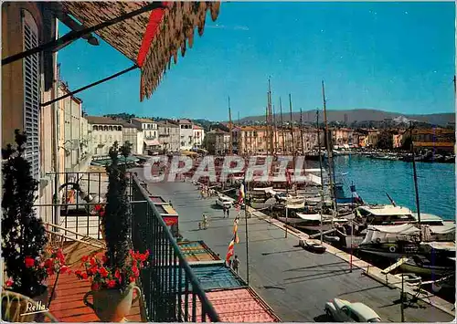 Cartes postales moderne Saint Tropez (Var) la Cote des Maures le Quai Jean Jaures Bateaux