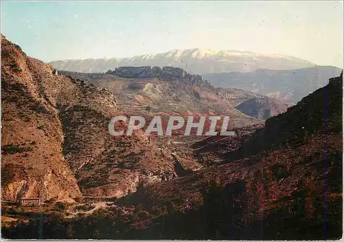 Moderne Karte Buis les Baronnies (Drome) sur la Route des Princes d'Orange le Mont  Ventoux enneige Vu du Col