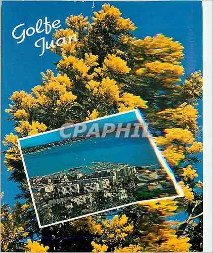 Cartes postales moderne Souvenir de Golfe Juan (A M)