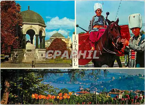 Cartes postales moderne Istanbul Cheval