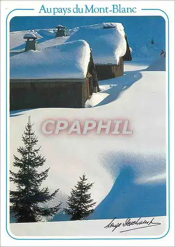 Cartes postales moderne Au Pays du Mont Blanc Manteaux Neigeux