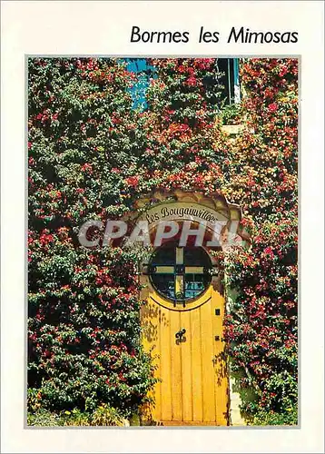 Cartes postales moderne Bormes les Mimosas (Var) Premier Village Fleuri de France Bougainvilles en Fleurs