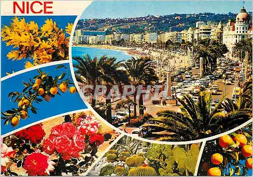 Cartes postales moderne Nice Cote d'Azur French Riviera la Promenade des Anglais