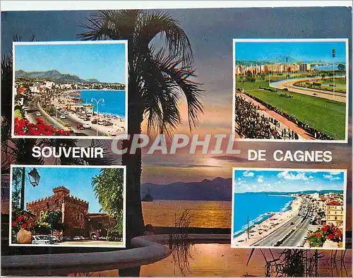 Cartes postales moderne Cagnes sur Mer Cote d'Azur French Riviera