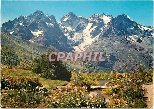 Cartes postales moderne en Dauphine Col du Lautaret le Pic Gaspard (3882m) et la Meije (3983m) vus du Jardin Alpin