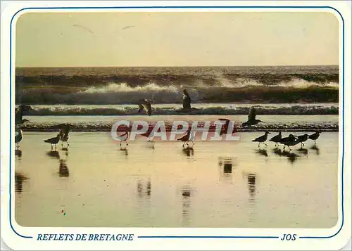 Cartes postales moderne Goelands dans les Vagues Reflets de Bretagne Jos