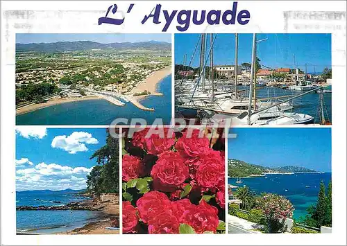 Moderne Karte Souvenir de l'Ayguade Hyeres les Palmiers Lumiere et Beaute de la Cote d'Azur