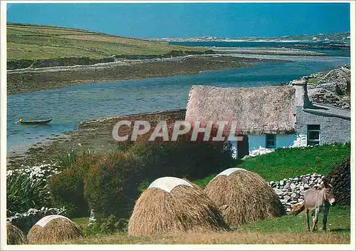 Cartes postales moderne Ireland People Places Connemara Ane Donkey