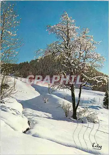 Cartes postales moderne Parure de Neige Images de Chez nous en Hiver