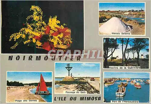 Moderne Karte Ile de Noirmoutier (Vendee) Marais salants Plage des dames Passage du Gois Port de l'Herbaudiere
