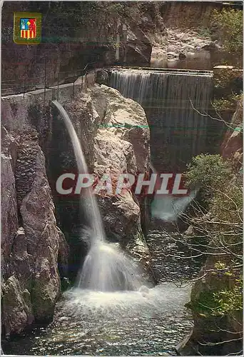 Cartes postales moderne Amelie les Bains alt 230m Station Thermale et Climatique d'Ete et d'Hiver