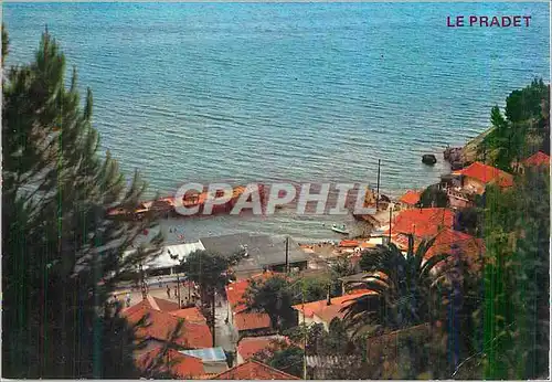 Cartes postales moderne le Pradet un Coin tres Pittoresque de la Cote Mediterranneenne le Pin de Galle