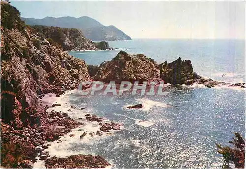 Cartes postales moderne Calanques Pittoresques Lumiere et Beaute de la Cote d'Azur