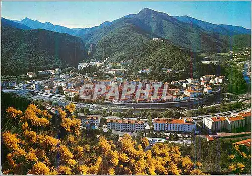 Cartes postales moderne Amelie les Bains Perle des Pyrenees Station Thermale et Climatique Ete Hiver