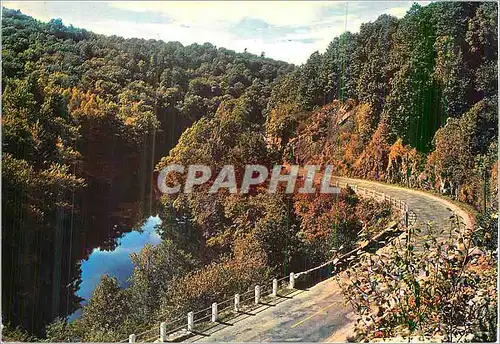 Cartes postales moderne Environs de la Bourboule et du Mont Dore l'Auvergne