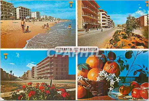 Cartes postales moderne Tavernes de Valldigna Vues de la Plage