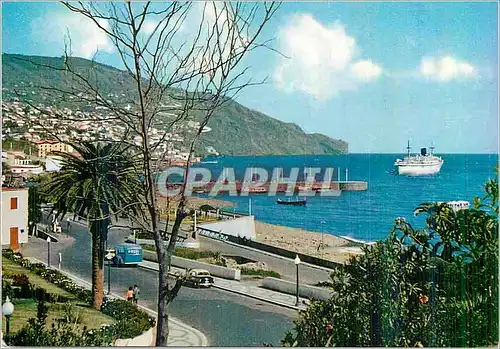 Cartes postales moderne Funchal (Madeira) Vue Orientale