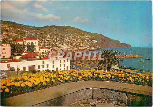 Cartes postales moderne Funchal Avenue de la Mer