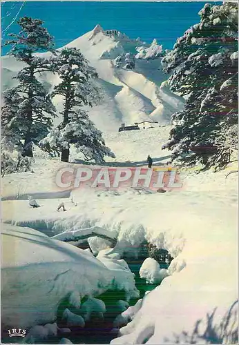 Cartes postales moderne le Mont Dore (1050 m) Sancy  (1886 m)
