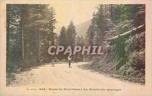 Cartes postales Route du Mont Dore a la Bourboule  (Paysage)