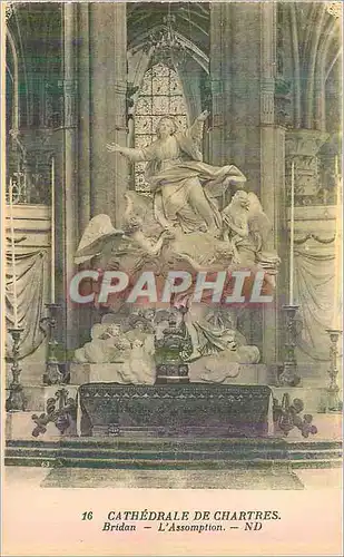 Cartes postales Cathedrale de Chartres Bridan L'Assomption