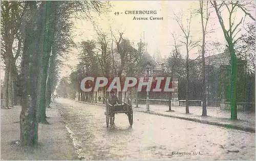 Cartes postales Cherbourg Avenue Carnot