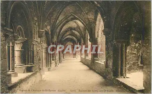 Cartes postales Ruines de l'Abbaye de St Bavon Cloitre