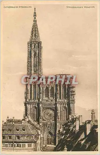 Cartes postales Cathedrale de Strasbourg