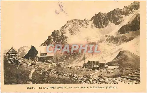 Cartes postales Le Lautaret (2056 m) Le Jardin Alpin et le Combeynot (3155 m)