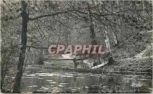 Cartes postales moderne Foret de Berce (Sarthe) Fontaine de la Coudre