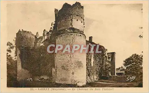 Cartes postales Lassay (Mayenne) Le Chateau du Bois Thibault