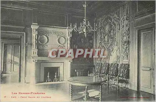 Cartes postales Pau Petit Salon du Chateau Les Basses Pyrenees