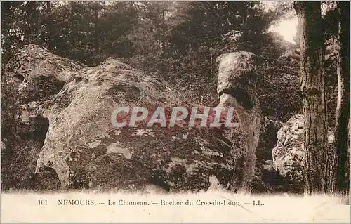 Cartes postales Nemours Le Chameau Rocher du Croc du Loup