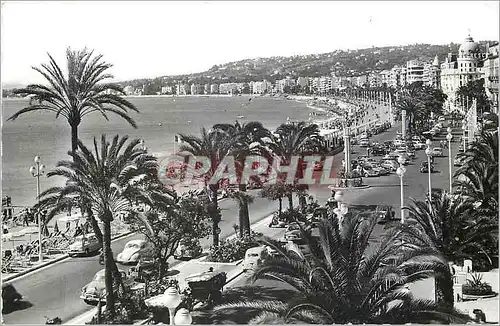 Cartes postales moderne Nice La Cote d'Azur La Promenade des Anglais