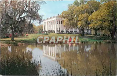 Cartes postales moderne Greenwood Plantation