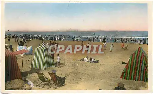 Cartes postales moderne Malo les Bains Vue sur la Plage