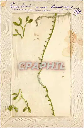 Cartes postales Fantaisie