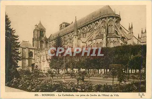 Cartes postales Bourges La Cathedrale vue prise du Jardin de L'Hotel de Ville