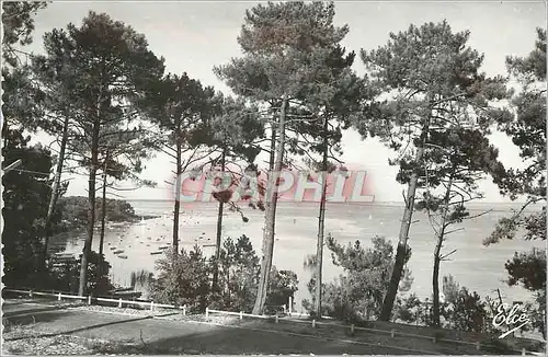 Cartes postales moderne Bassin d'Arcachon (Gironde) Echappee sur le Bassin
