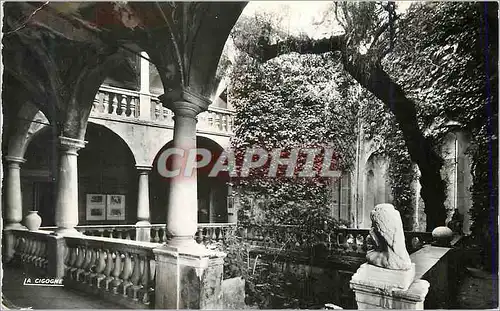 Cartes postales moderne Cagnes sur Mer la Ville Haute  la Cour du Chateau Grimaldi