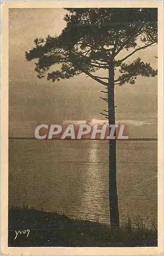 Ansichtskarte AK Arcachon au Moulleau Derniers Rayons les Charmes de la Cote d'Argent Mer et Foret la Douce Franc