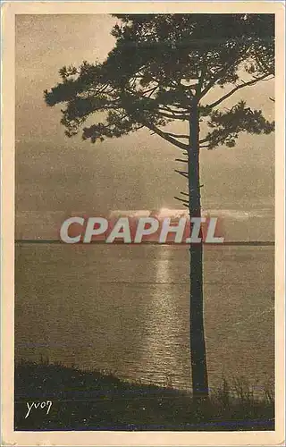 Cartes postales Arcachon au Moulleau Derniers Rayons les Charmes de la Cote d'Argent Mer et Foret la Douce Franc